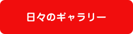 日々のギャラリー