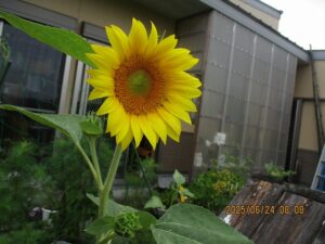 7.6.24(火)