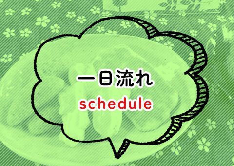 一日の流れ